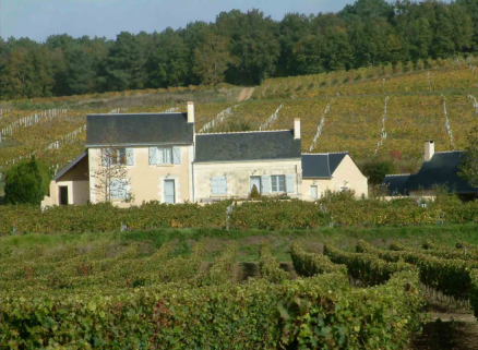 Domaine